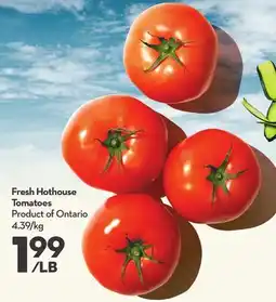 Longo's Fresh Hothouse Tomatoes offer