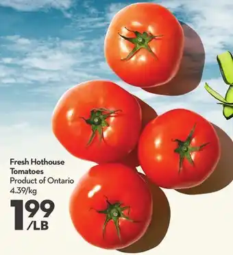 Longo's Fresh Hothouse Tomatoes offer
