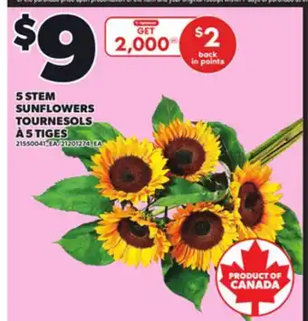 Independent Grocer 5 STEM SUNFLOWERS offer