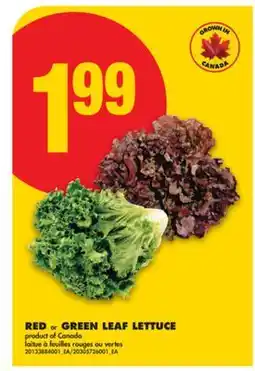 No Frills RED or GREEN LEAF LETTUCE offer