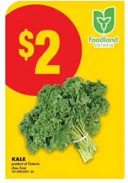 No Frills KALE offer