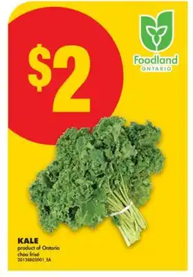 No Frills KALE offer