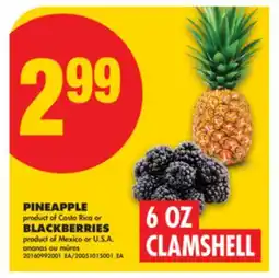 No Frills PINEAPPLE or BLACKBERRIES, 6 OZ CLAMSHELL offer