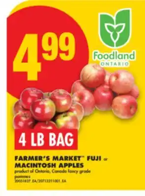 No Frills FARMER'S MARKET FUJI or MACINTOSH APPLES offer