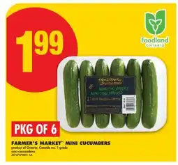 No Frills FARMER'S MARKET MINI CUCUMBERS, PKG OF 6 offer