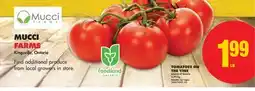 No Frills TOMATOES ON THE VINE offer
