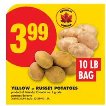 No Frills YELLOW or RUSSET POTATOES, 10 LB BAG offer