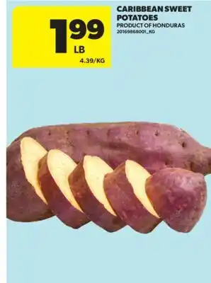 Real Canadian Superstore CARIBBEAN SWEET POTATOES offer