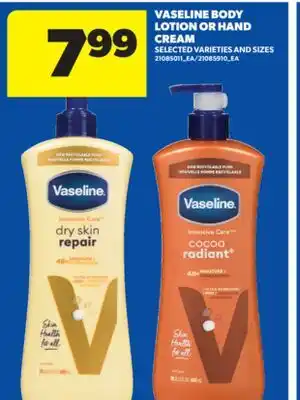 Real Canadian Superstore VASELINE BODY LOTION OR HAND CREAM offer