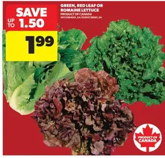 Real Canadian Superstore GREEN, RED LEAF OR ROMAINE LETTUCE offer