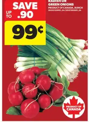 Real Canadian Superstore RADISH OR GREEN ONIONS offer