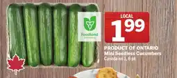 Foodland Mini Seedless Cucumbers Canada no 1, 6 pk offer