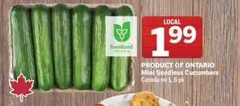 Foodland Mini Seedless Cucumbers Canada no 1, 6 pk offer
