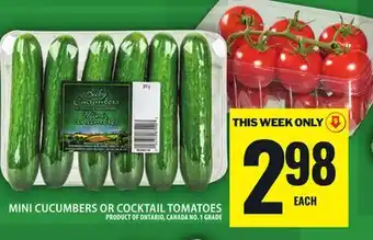 Food Basics MINI CUCUMBERS OR COCKTAIL TOMATOES offer