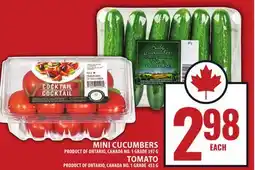 Food Basics MINI CUCUMBERS OR TOMATO offer