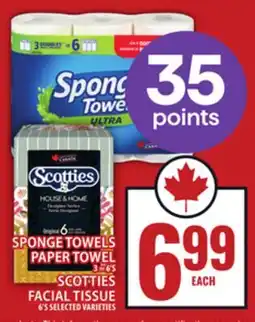Food Basics SPONGE TOWELS PAPER TOWEL OR SCOTTIES FACIAL TISSUE offer