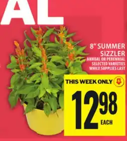 Food Basics 8 SUMMER SIZZLER offer