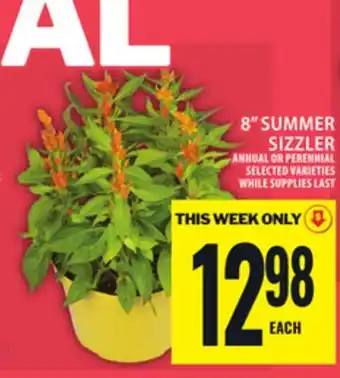 Food Basics 8 SUMMER SIZZLER offer