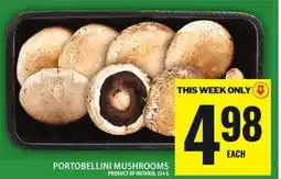 Food Basics PORTOBELLINI MUSHROOMS offer