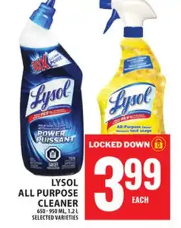 Food Basics LYSOL ALL PURPOSE CLEANER offer