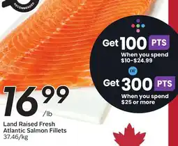 Sobeys Land Raised Fresh Atlantic Salmon Fillets offer