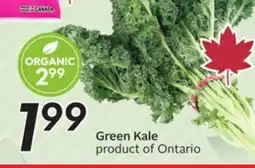 Sobeys Green Kale offer