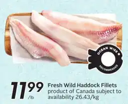 Sobeys Fresh Wild Haddock Fillets offer