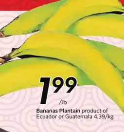 Sobeys Bananas offer