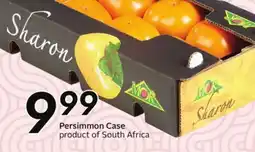 Sobeys Persimmon Case offer