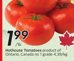 Sobeys Hothouse Tomatoes offer