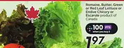 Sobeys Romaine, Butter, Green or Red Leaf Lettuce or Endive Chicory or Escarole offer