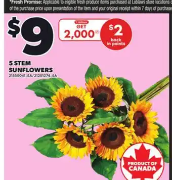 Loblaws 5 STEM SUNFLOWERS offer