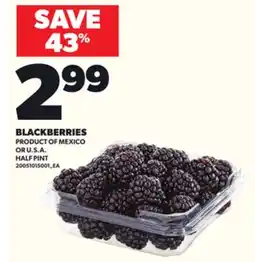 Loblaws BLACKBERRIES offer