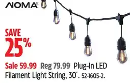 Canadian Tire Plug-In LED Filament Light String, 30 offer