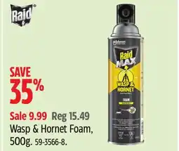 Canadian Tire Raid Wasp & Hornet Foam offer