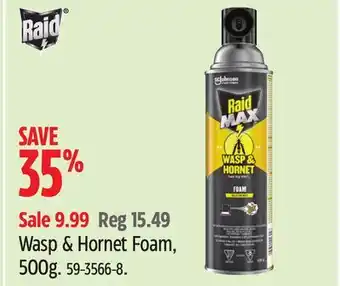 Canadian Tire Raid Wasp & Hornet Foam offer