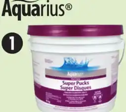 Canadian Tire Pool Stabilized Chlorine Pucks offer