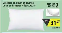 Sushi Shop Down and Feather Pillows 20x28 offer