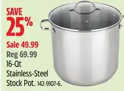 Canadian Tire MASTER Chef Stainless-Steel Stock Pot offer