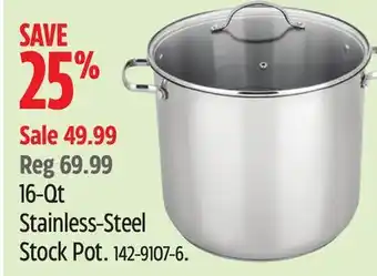 Canadian Tire MASTER Chef Stainless-Steel Stock Pot offer