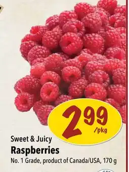 Farm Boy Sweet & Juicy Raspberries offer