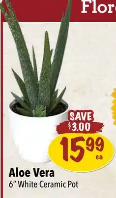 Farm Boy Aloe Vera offer