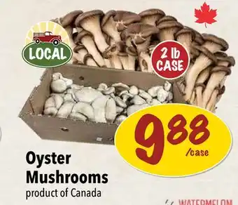 Farm Boy Oyster Mushrooms offer