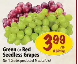 Farm Boy Green or Red Seedless Grapes offer