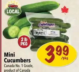 Farm Boy Mini Cucumbers offer