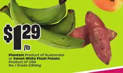 Chalo FreshCo Plantain Product of Guatemala or Sweet White Flesh Potato Product of USA No. 1 Grade 2.84/kg offer