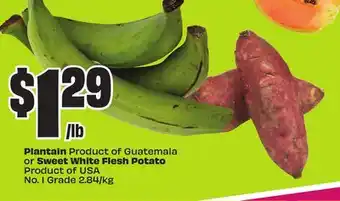 Chalo FreshCo Plantain Product of Guatemala or Sweet White Flesh Potato Product of USA No. 1 Grade 2.84/kg offer