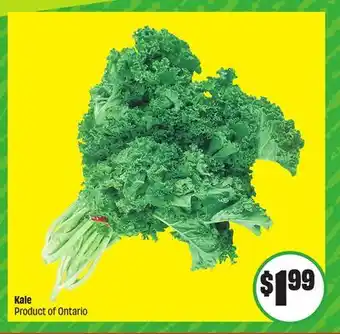 Chalo FreshCo Kale Product of Ontario offer