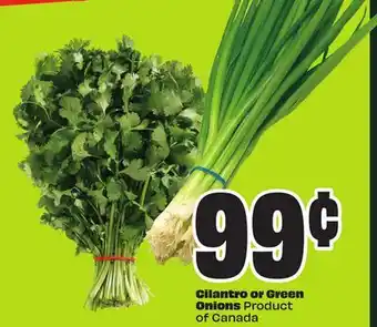 Chalo FreshCo Cilantro or Green Onions Product of Canada offer