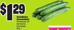 Chalo FreshCo Seedless Cucumber Product of Ontario Canada No. 1 offer